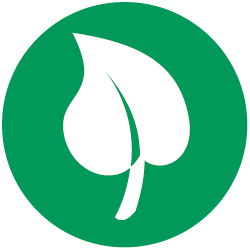 brea sostanze naturali